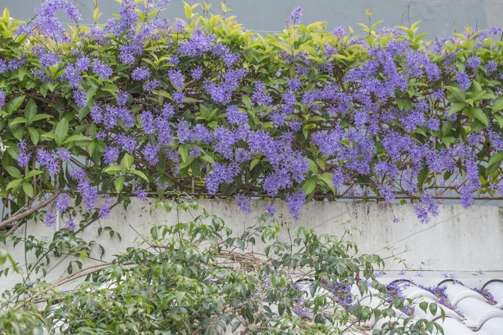Morada das Flôres Porto Alegre Exterior foto
